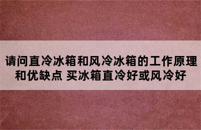 请问直冷冰箱和风冷冰箱的工作原理和优缺点 买冰箱直冷好或风冷好